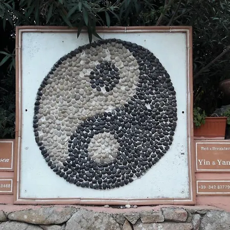 Yin & Yang سان بانتاليو