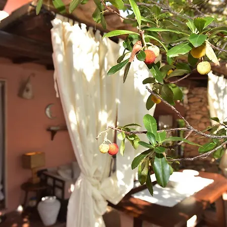 Yin & Yang Oda ve Kahvaltı San Pantaleo